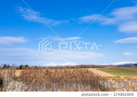 Spring scenery with a majestic road in Biei, Hokkaido Spring scenery with a majestic road in Biei, Hokkaido 124802800