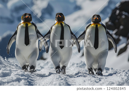Three penguins walking through the snow wearing neckties 124802845