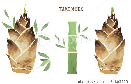 A rough watercolor illustration of bamboo shoots 124803213