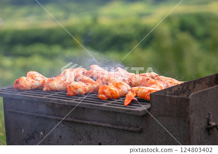 Delicious grilled meat on barbecue grill with smoke and flames in green grass Delicious grilled meat on barbecue grill with smoke and flames in green grass 124803402