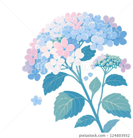 簡單的繡球花圖 124803932