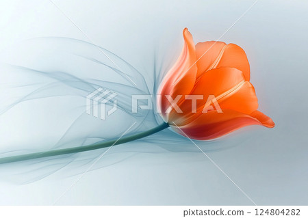 A vibrant orange tulip stands gracefully against a soft, muted background, with delicate, flowing lines creating a sense of tranquility and elegance in the atmosphere. 124804282