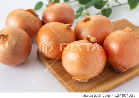 onion  124804323