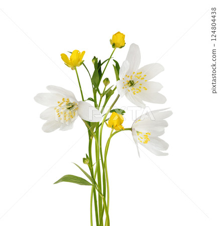 Wild anemones and wild ranunculus flowers in a floral arrangement isolated 124804438