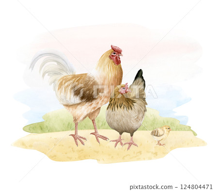 Watercolor chicken family with rooster, mother hen and baby chick isolated illustration. Outdoor poultry yard birds grazing in nature farm design. Realistic fowl landscape clipart for organic goods 124804471