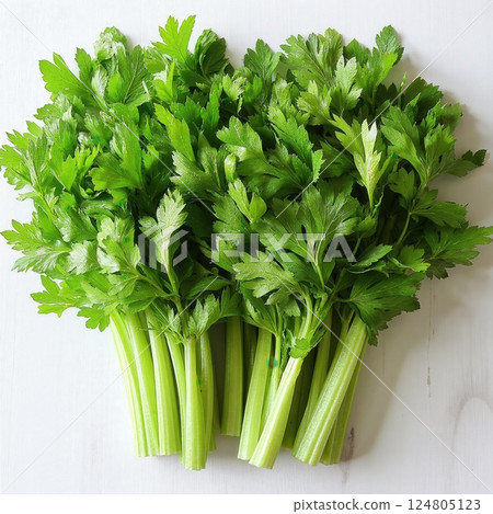 Fresh green celery bunch on light wooden surface for healthy cooking and nutrition concepts 124805123