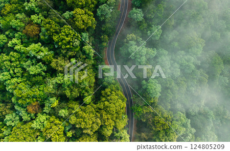 Aerial view of a road in a forest with fog Aerial view of a road in a forest with fog 124805209