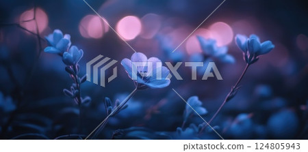 Lavender flowers in the foreground blurred background macro photography. Lavender flowers in the foreground blurred background macro photography. 124805943
