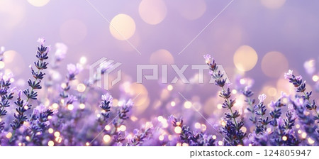 Lavender flowers in the foreground blurred background macro photography. 124805947