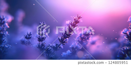 Lavender flowers in the foreground blurred background macro photography. Lavender flowers in the foreground blurred background macro photography. 124805951