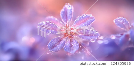 Lavender flowers in the foreground blurred background macro photography. Lavender flowers in the foreground blurred background macro photography. 124805956