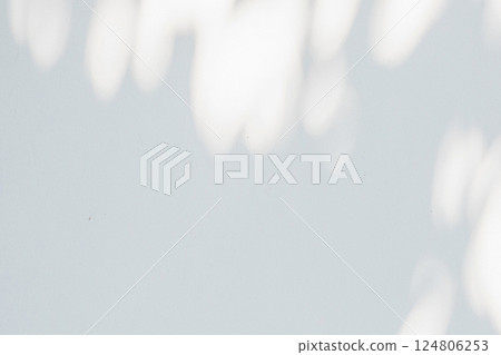 Abstract natural tree leaves shadow on white wall background Abstract natural tree leaves shadow on white wall background 124806253