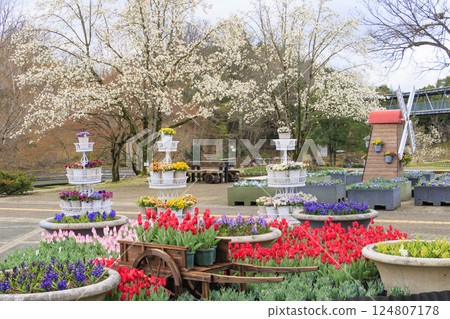 鳥取花迴廊：春天百花齊放 124807178