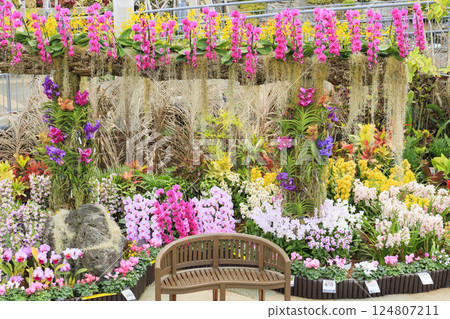 鳥取花迴廊：春天百花齊放 124807211