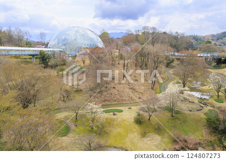 鳥取花迴廊：春天百花齊放 124807273