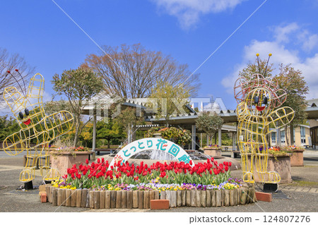 鳥取花迴廊:春天百花齊放 鳥取花迴廊:春天百花齊放 124807276