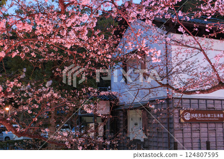Kinosaki Onsen in spring: Cherry blossoms illuminated at night 124807595