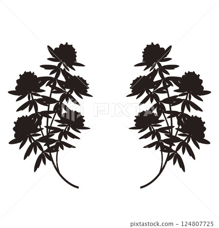 Rhododendron 124807725