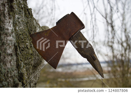 A rusty, old axe with a broken wooden handle stuck in a tree, showing the wear and tear of time. A rusty, old axe with a broken wooden handle stuck in a tree, showing the wear and tear of time. 124807806