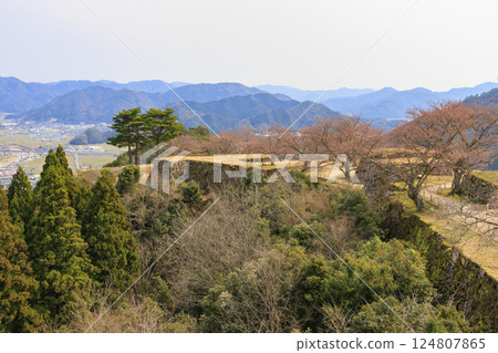 武田城跡 武田城跡 124807865