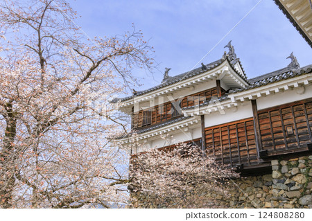 櫻花盛開的福知山城 124808280