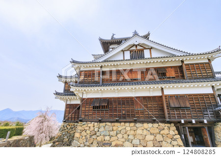 Fukuchiyama Castle with cherry blossoms in full bloom Fukuchiyama Castle with cherry blossoms in full bloom 124808285