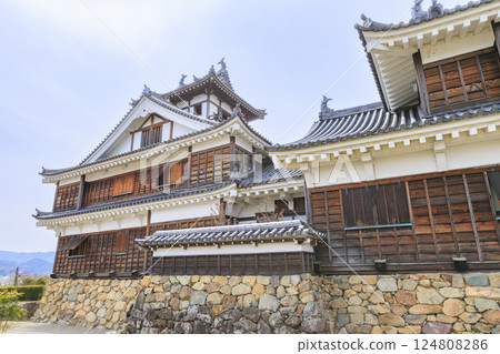 Fukuchiyama Castle with cherry blossoms in full bloom 124808286