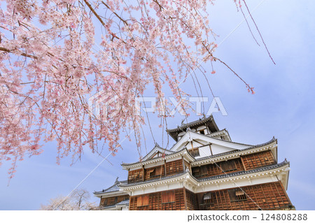 櫻花盛開的福知山城 124808288