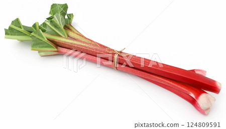 Fresh rhubarb Fresh rhubarb 124809591
