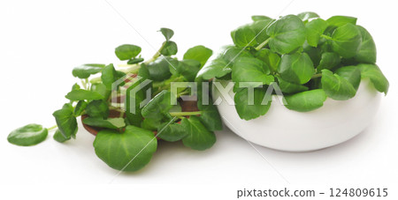 Fresh organic watercress 124809615
