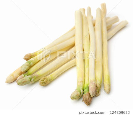 German White Asparagus 124809623