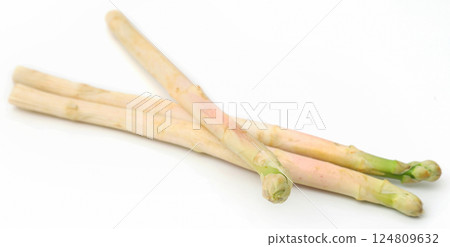 German White Asparagus German White Asparagus 124809632