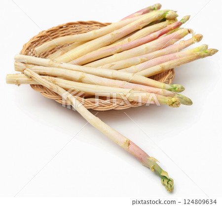 German White Asparagus 124809634