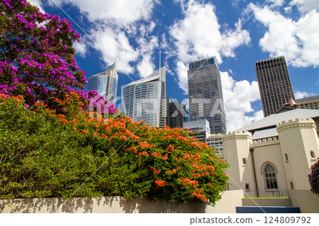 View of the city skyscrapers from the Royal Botanic Gardens in Sydney, New South Wales, Australia 124809792