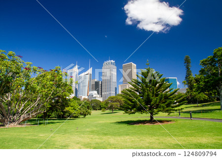 View of the city skyscrapers from the Royal Botanic Gardens in Sydney, New South Wales, Australia 124809794