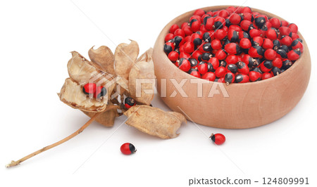 Abrus precatorius or Indian liquorice Seeds Abrus precatorius or Indian liquorice Seeds 124809991