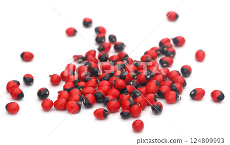 Abrus precatorius or Indian liquorice Seeds Abrus precatorius or Indian liquorice Seeds 124809993