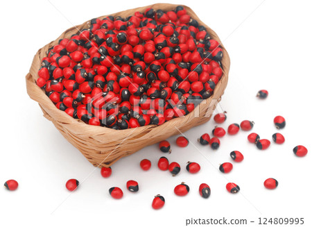 Abrus precatorius or Indian liquorice Seeds 124809995