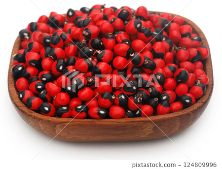 Abrus precatorius or Indian liquorice Seeds Abrus precatorius or Indian liquorice Seeds 124809996