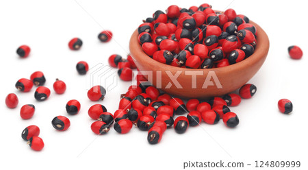 Abrus precatorius or Indian liquorice Seeds over white background 124809999