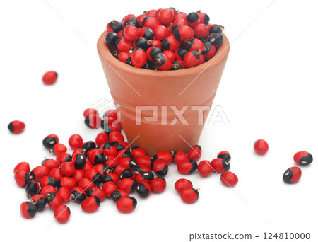 Abrus precatorius or Indian liquorice Seeds over white background 124810000