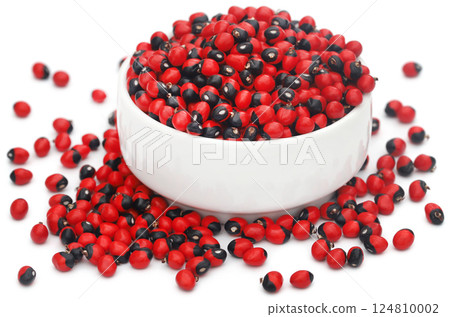 Abrus precatorius or Indian liquorice Seeds over white background 124810002