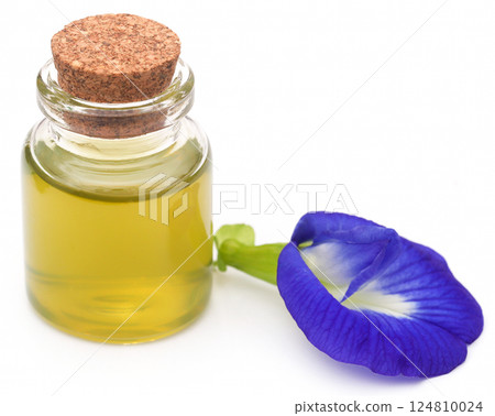 Clitoria ternatea with extract Clitoria ternatea with extract 124810024