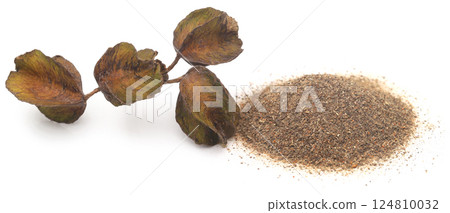 Ayurvedic arjun fruit with ground powder 124810032