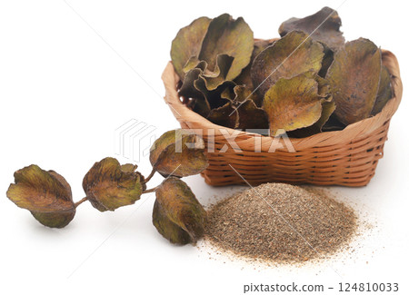 Ayurvedic arjun fruit with ground powder 124810033