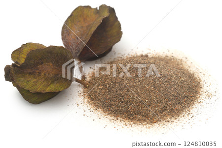 Ayurvedic arjun fruit with ground powder 124810035