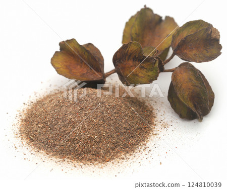 Ayurvedic arjun with ground powder Ayurvedic arjun with ground powder 124810039