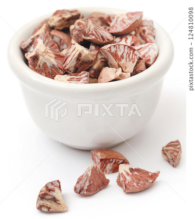 Betel nut Betel nut 124810098