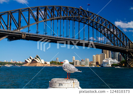 Australia, New South Wales, Sydney, Silver Gulls, Harbour Bridge and World Heritage Opera House 124810373
