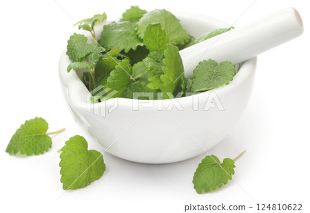 Lemon balm 124810622